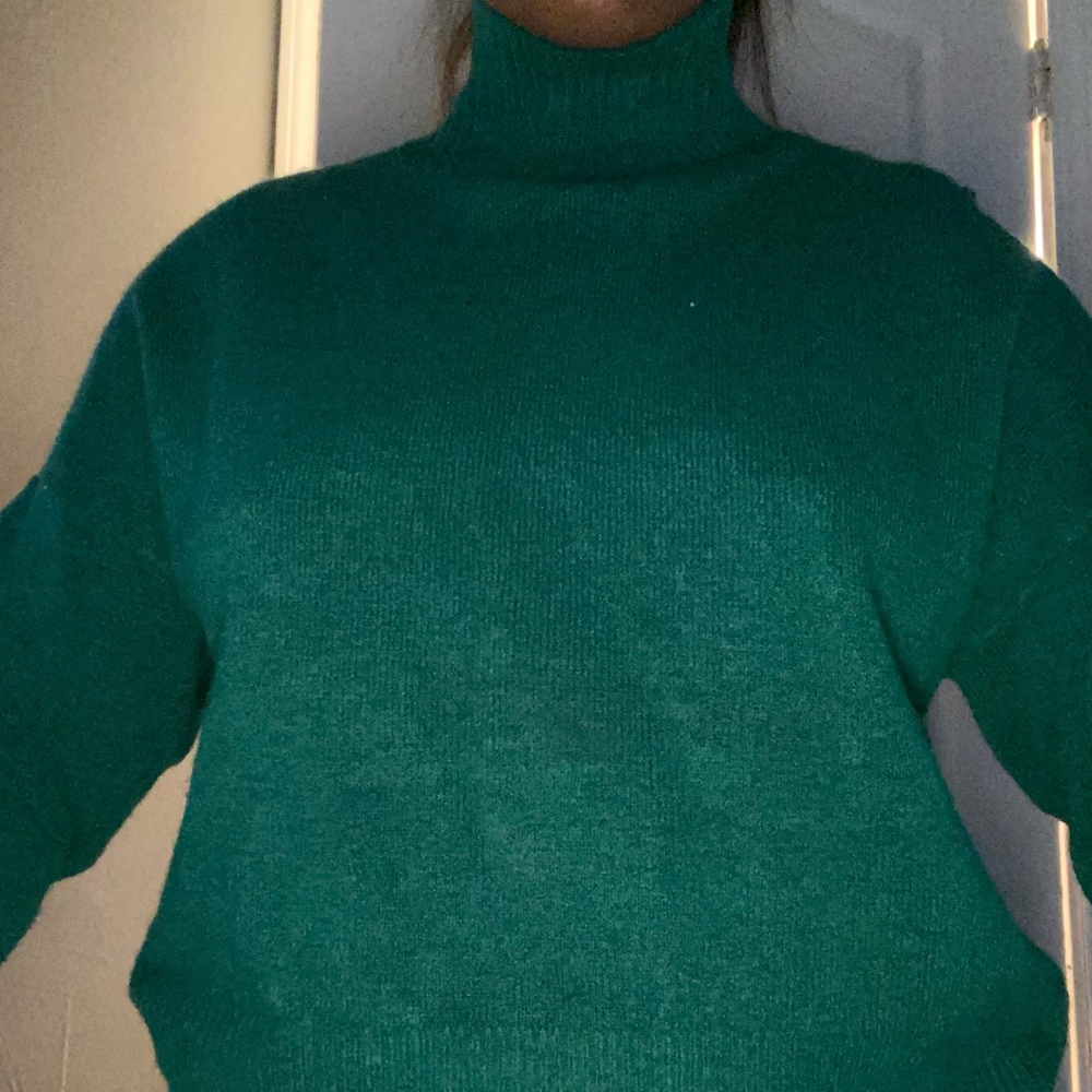 Green Turtle Neck top